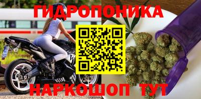 spice Гусиноозёрск