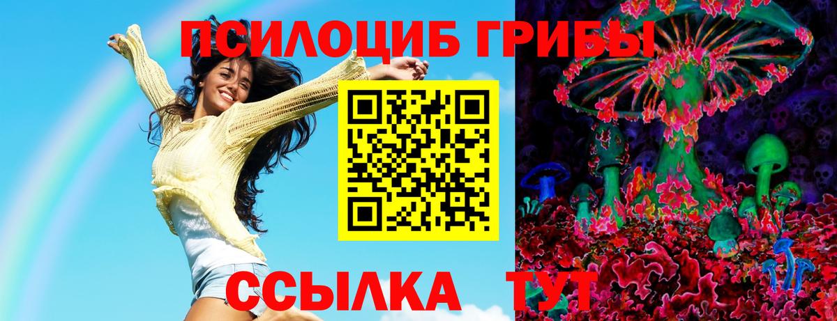 Псилоцибиновые грибы Psilocybe  Вход с VPN  Грозный 