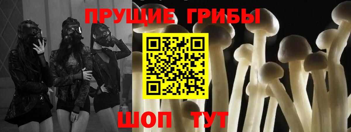 Галлюциногенные грибы Cubensis Грозный